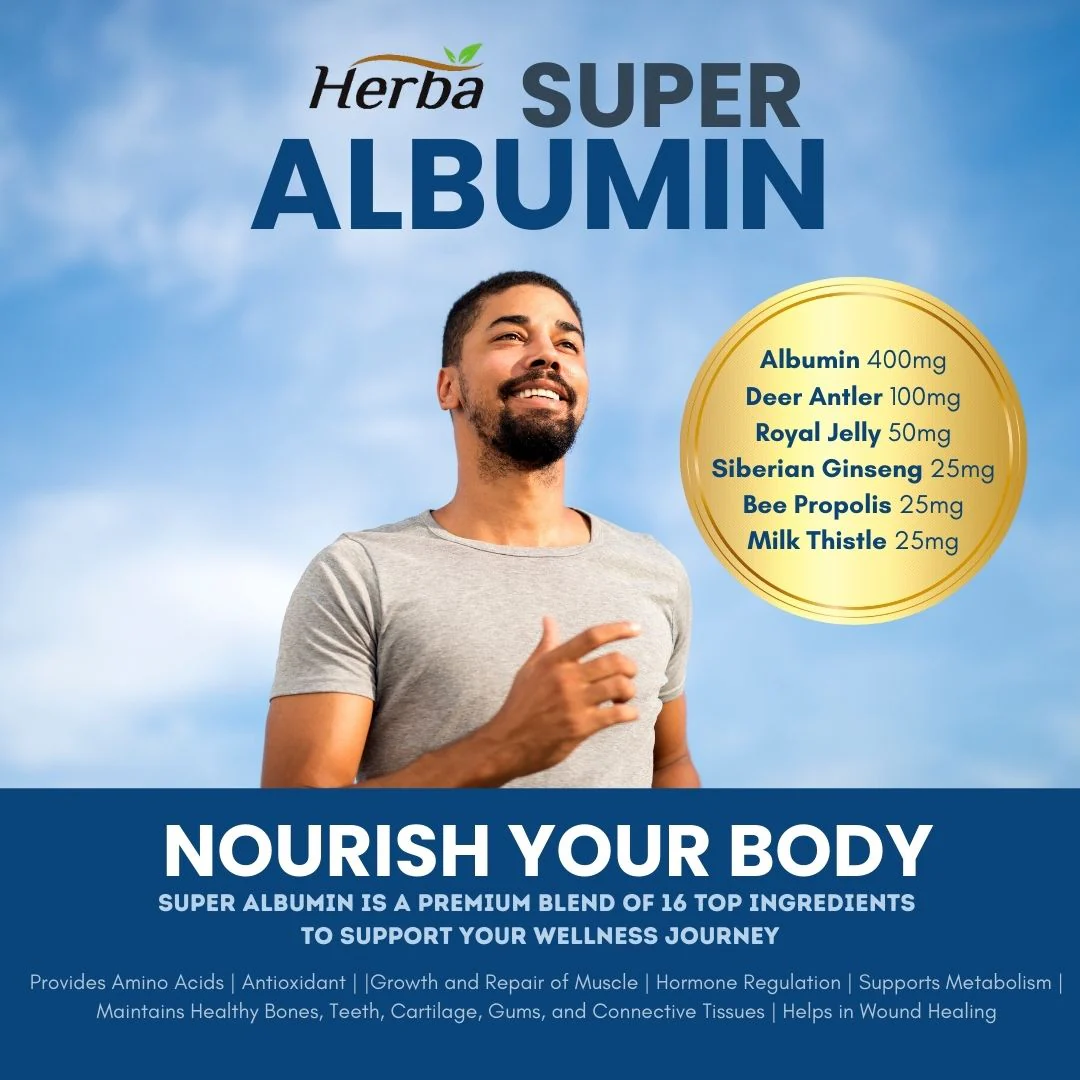 Albumin Protein Supplement – 240 Vegetable Capsules | Albumin Capsules with 16 Premium Ingredients - Image 6