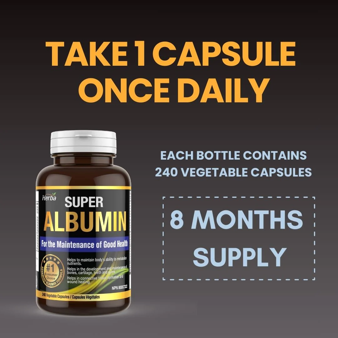 Albumin Protein Supplement – 240 Vegetable Capsules | Albumin Capsules with 16 Premium Ingredients - Image 7