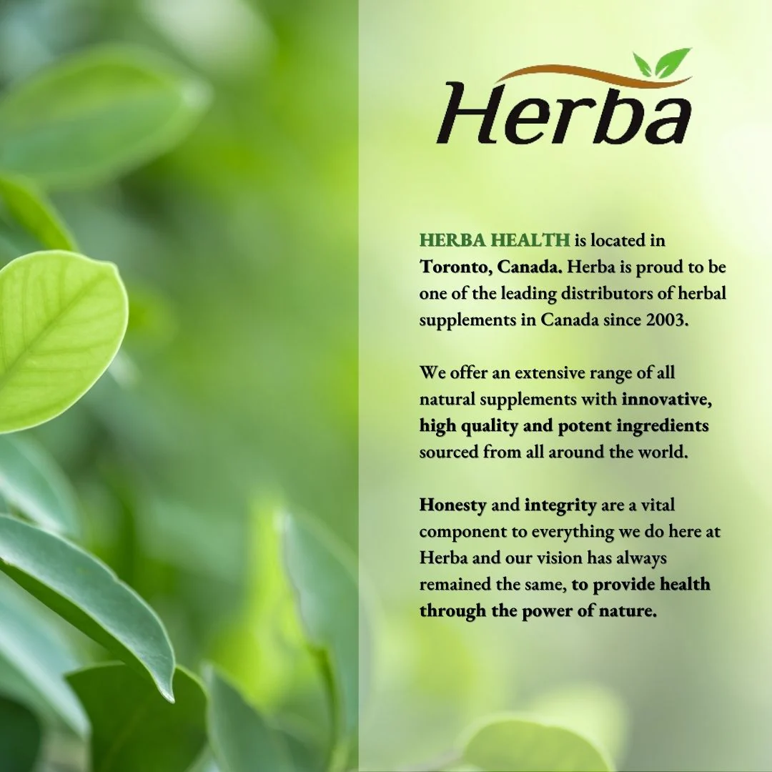 Albumin Protein Supplement – 240 Vegetable Capsules | Albumin Capsules with 16 Premium Ingredients - Image 8