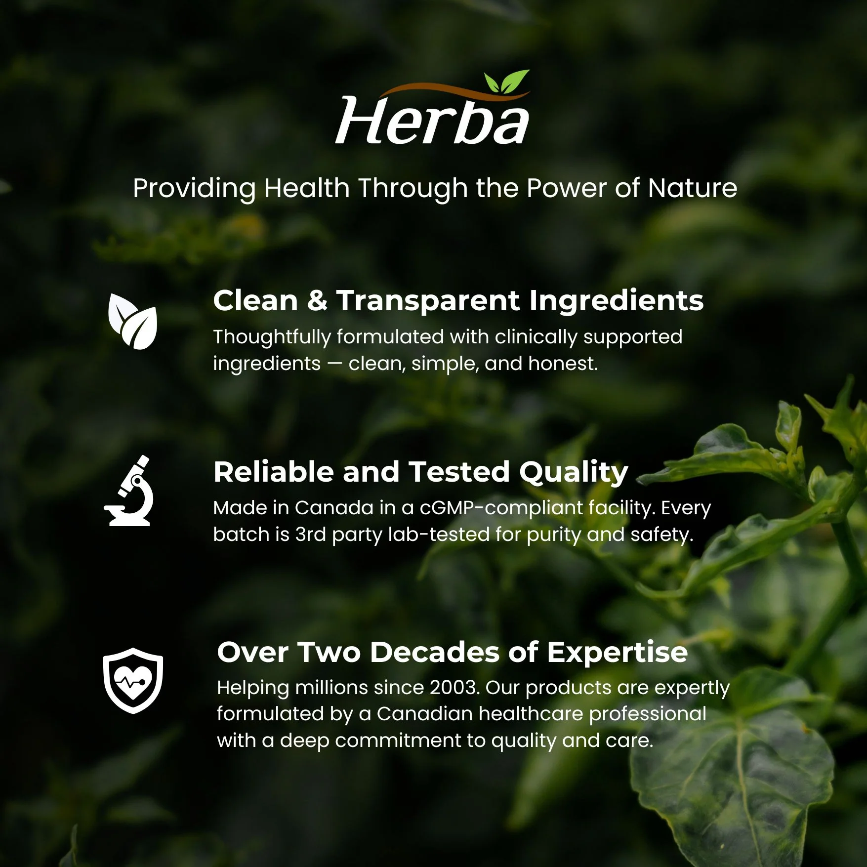 Ashwagandha Supplement - 150 Capsules | Made in Canada | 6000mg Dry Powder Equivalent Per Day - Image 8