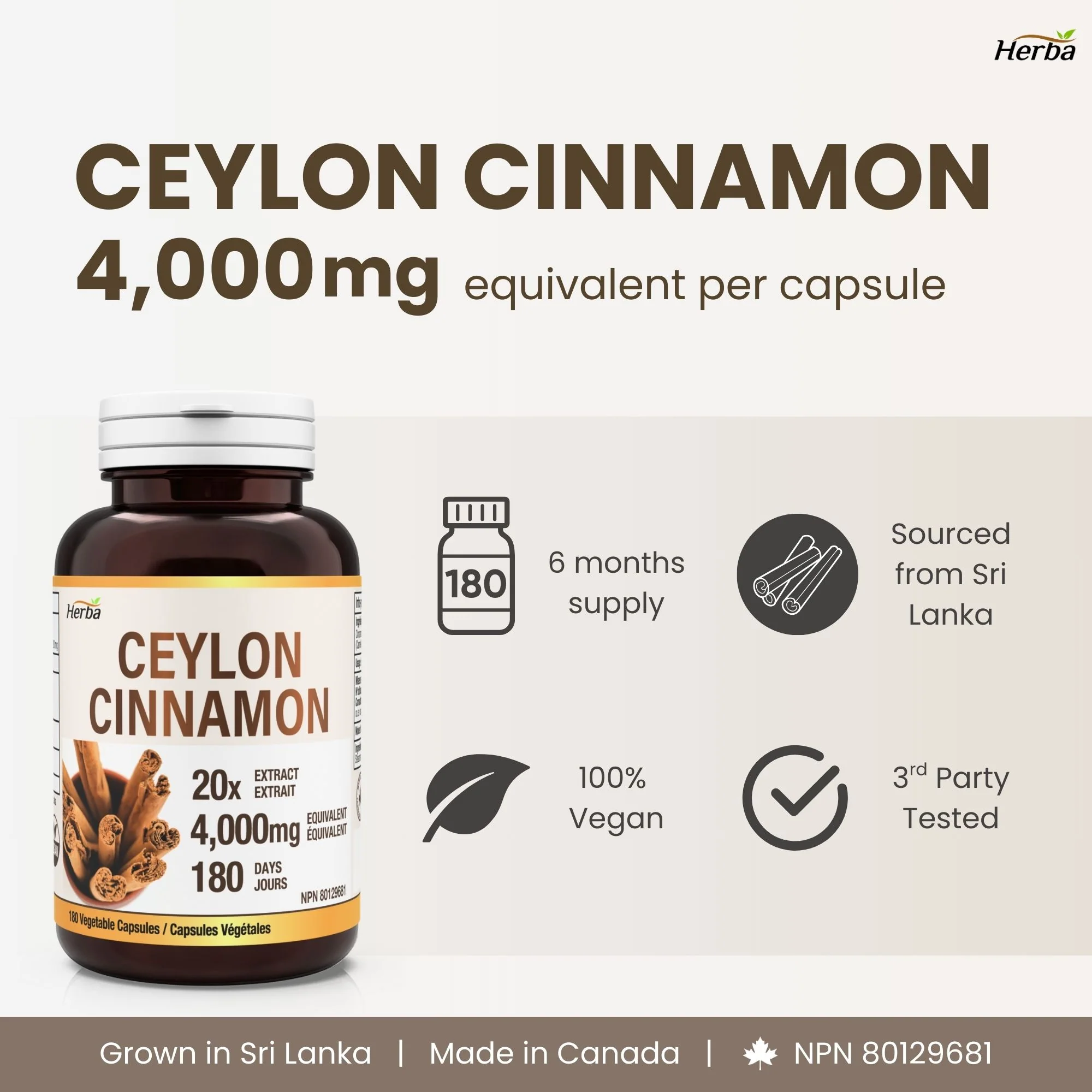Ceylon Cinnamon Capsules 4000mg - 180 Vegetable Capsules | 20:1 Extract | Made in Canada - Image 3