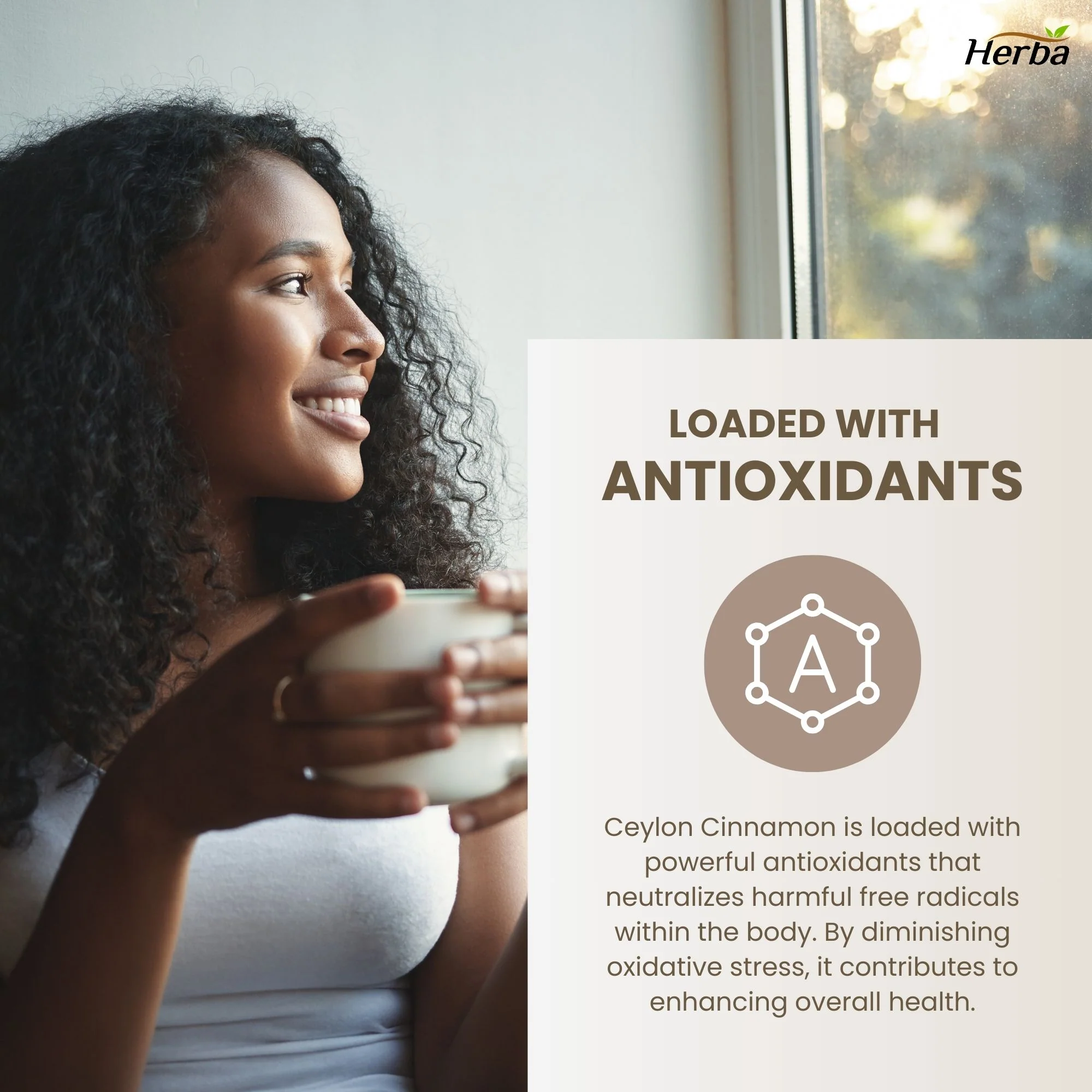 Ceylon Cinnamon Capsules 4000mg - 180 Vegetable Capsules | 20:1 Extract | Made in Canada - Image 5