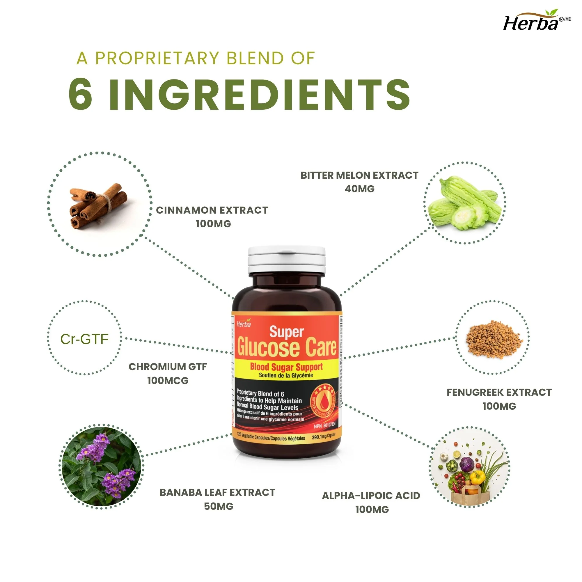 Glucose Care - 120 Capsules | Blood Sugar Support with 6 Ingredients - Image 4