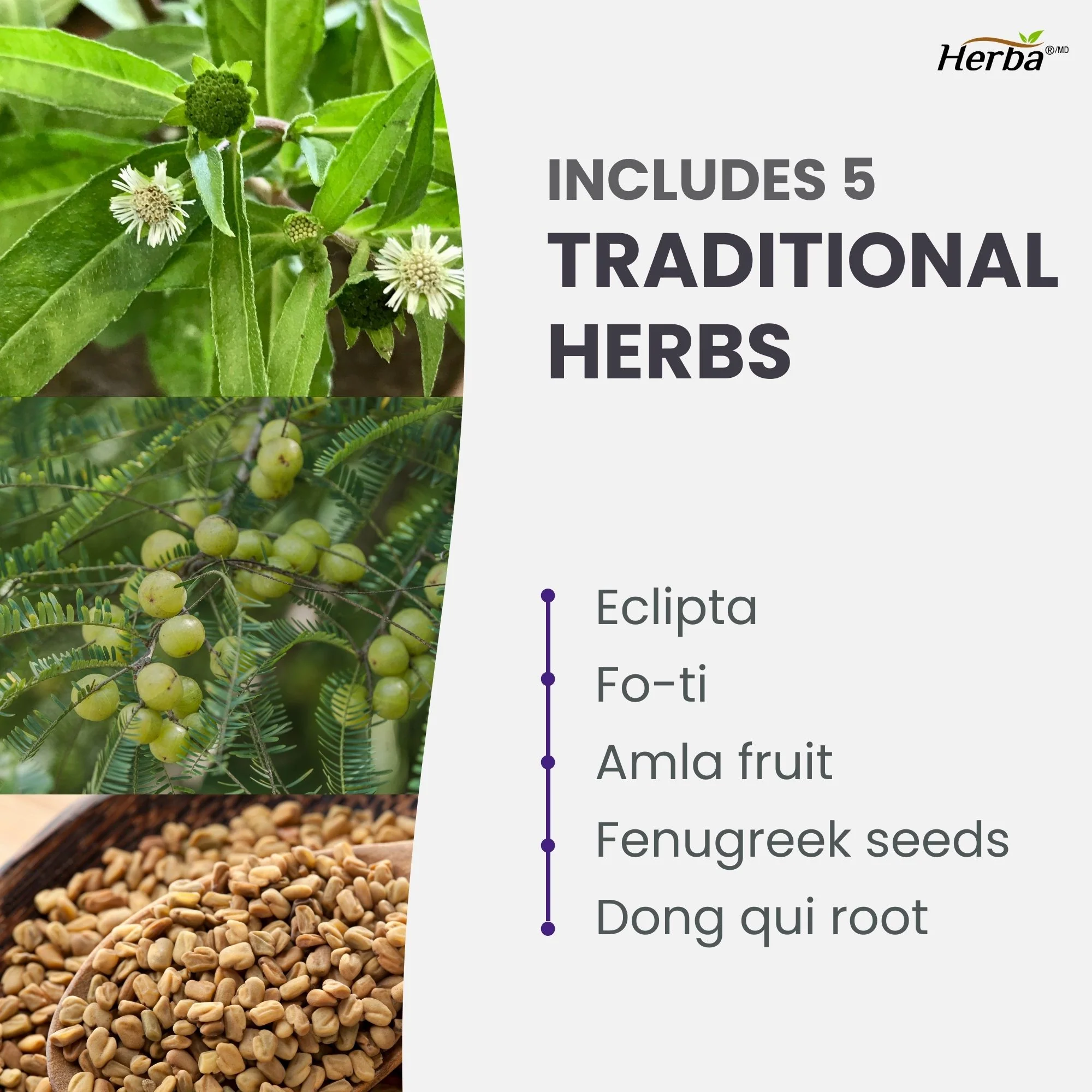 Hair Maxol 2 Hair Growth Vitamins with Biotin for Hair Growth for Men and Women - Image 7