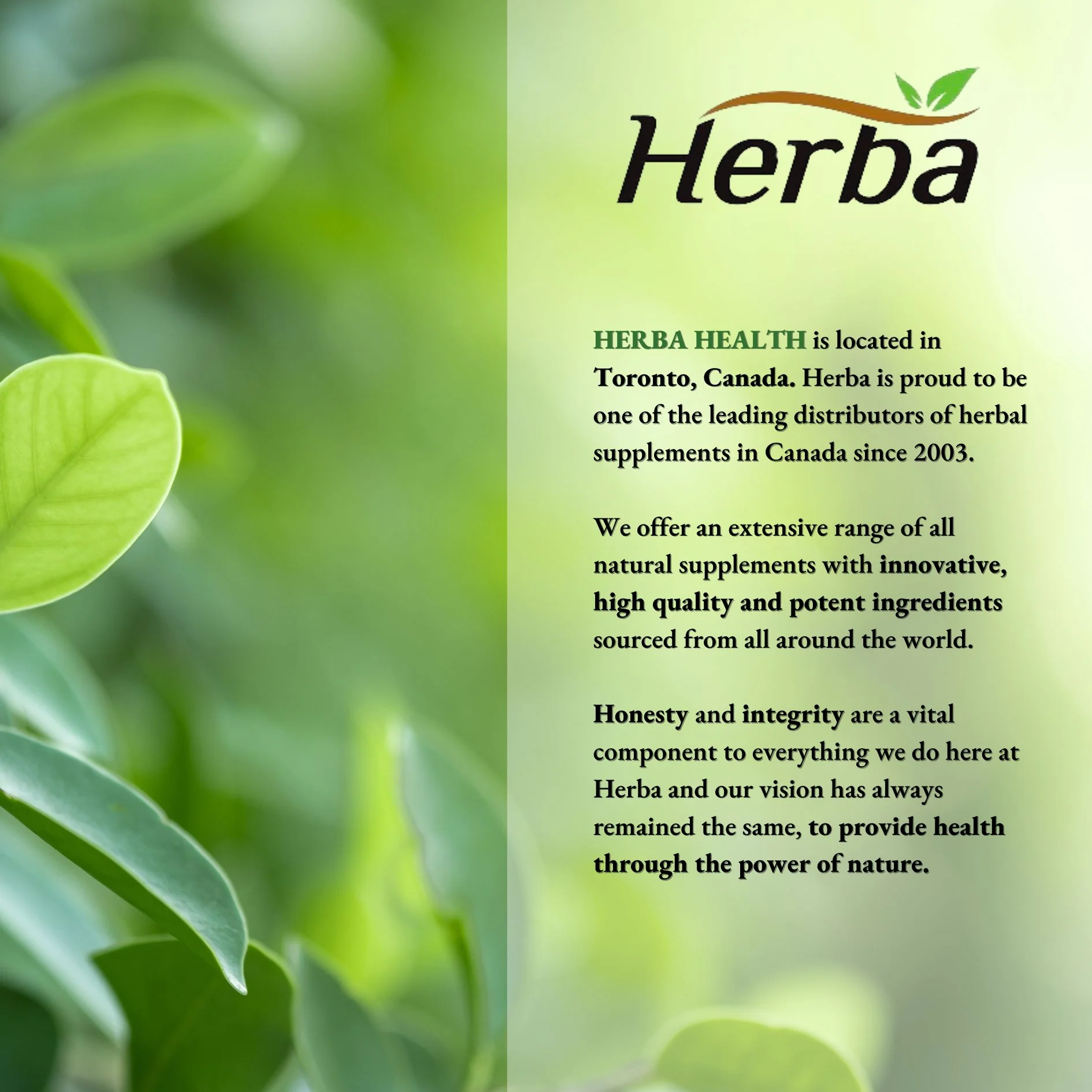 Hair Maxol 2 Hair Growth Vitamins with Biotin for Hair Growth for Men and Women - Image 9