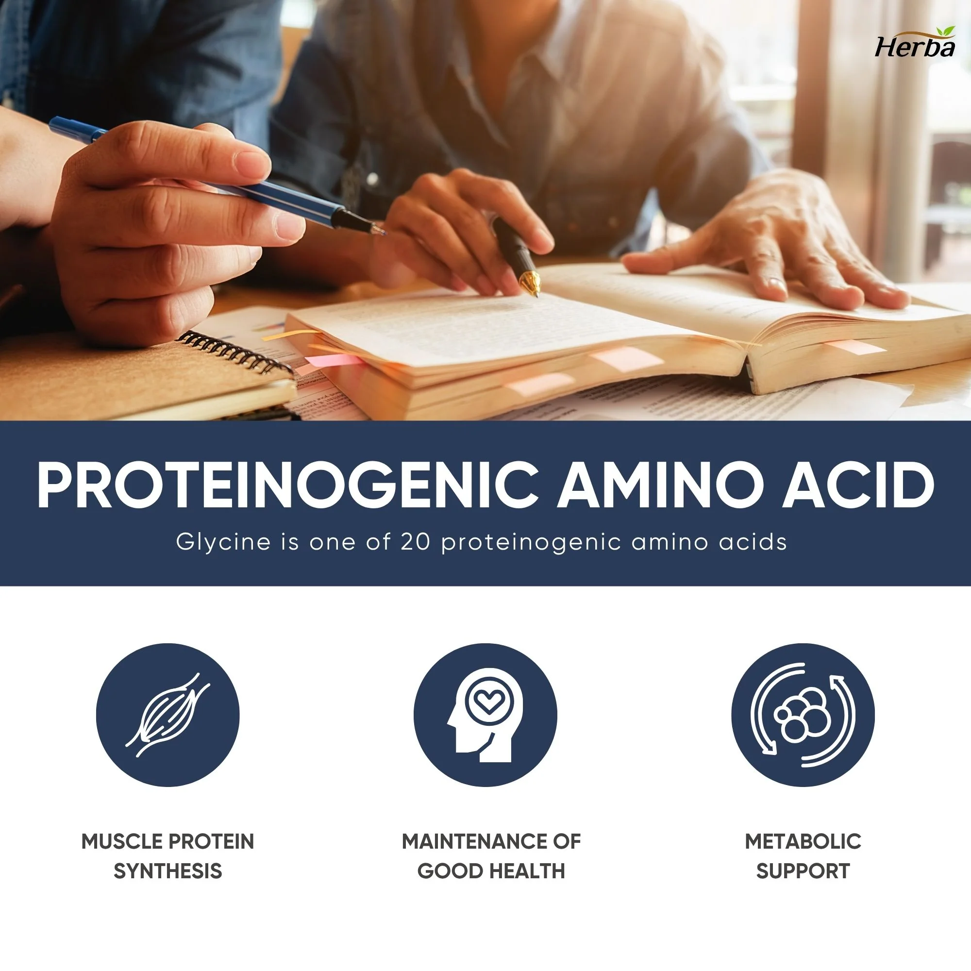 Herba Glycine Supplement 750mg - 180 Capsules - >99% Ultra Pure Glycine Capsules | Made in Canada - Image 8