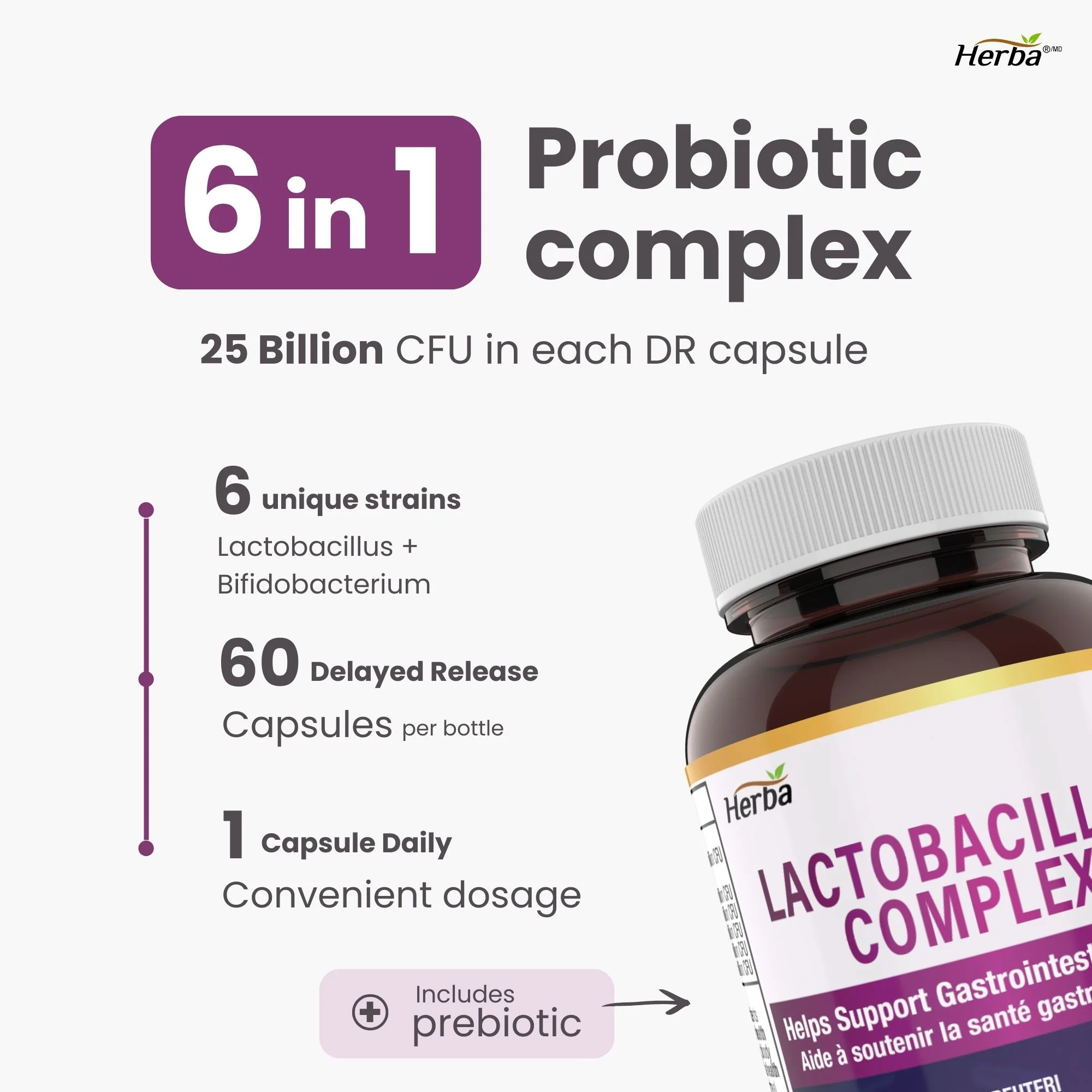 Lactobacillus Complex 25B CFU - 60 DR Capsules | 6 in 1 Lactobacillus and Bifidobacterium | Made in Canada - Image 3