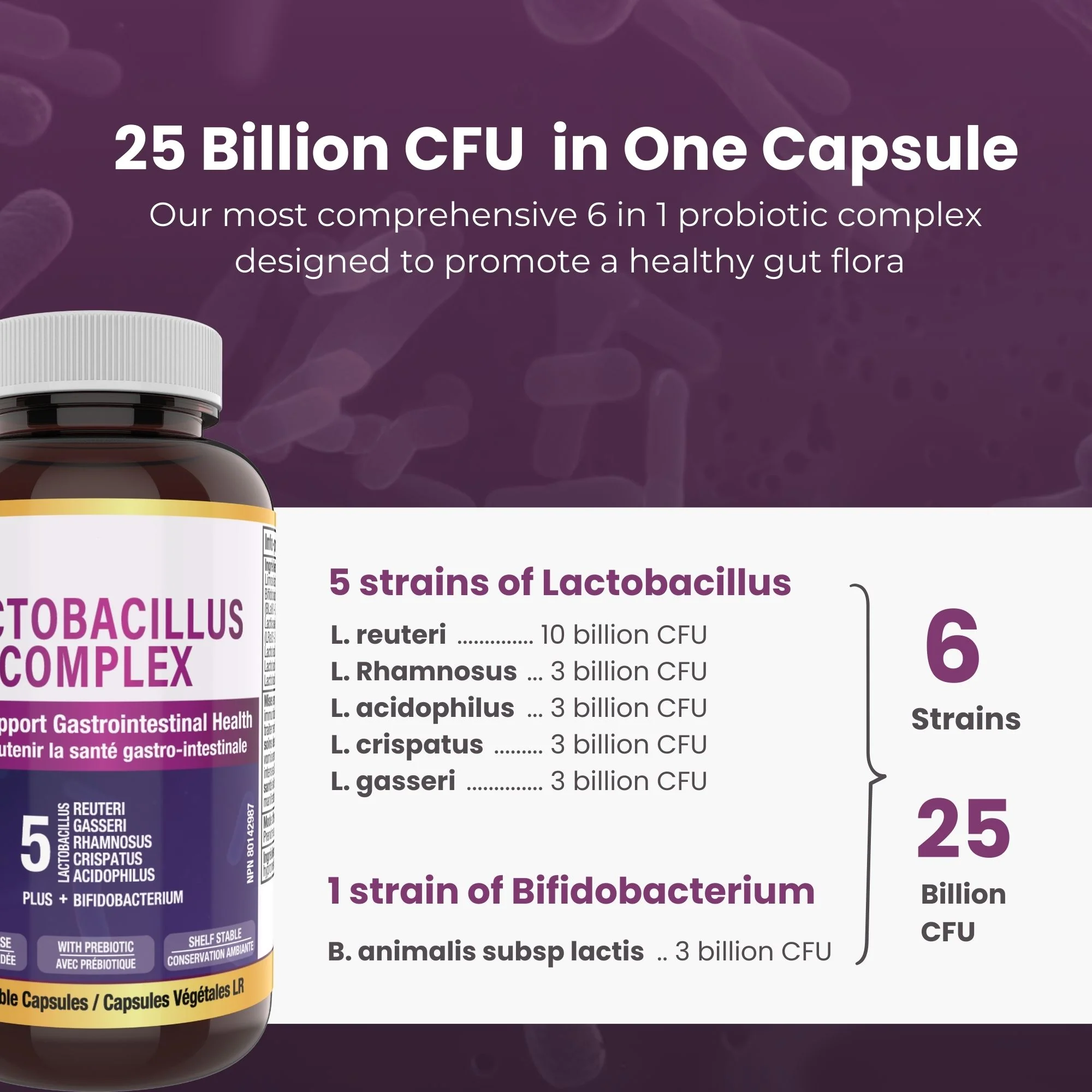 Lactobacillus Complex 25B CFU - 60 DR Capsules | 6 in 1 Lactobacillus and Bifidobacterium | Made in Canada - Image 5