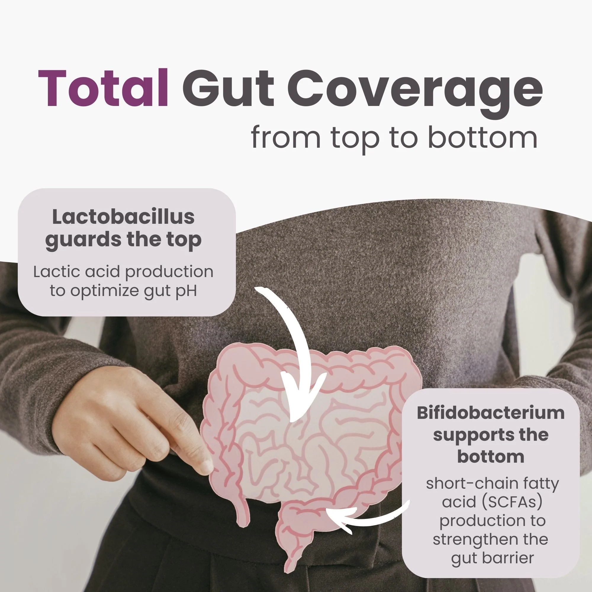 Lactobacillus Complex 25B CFU - 60 DR Capsules | 6 in 1 Lactobacillus and Bifidobacterium | Made in Canada - Image 6