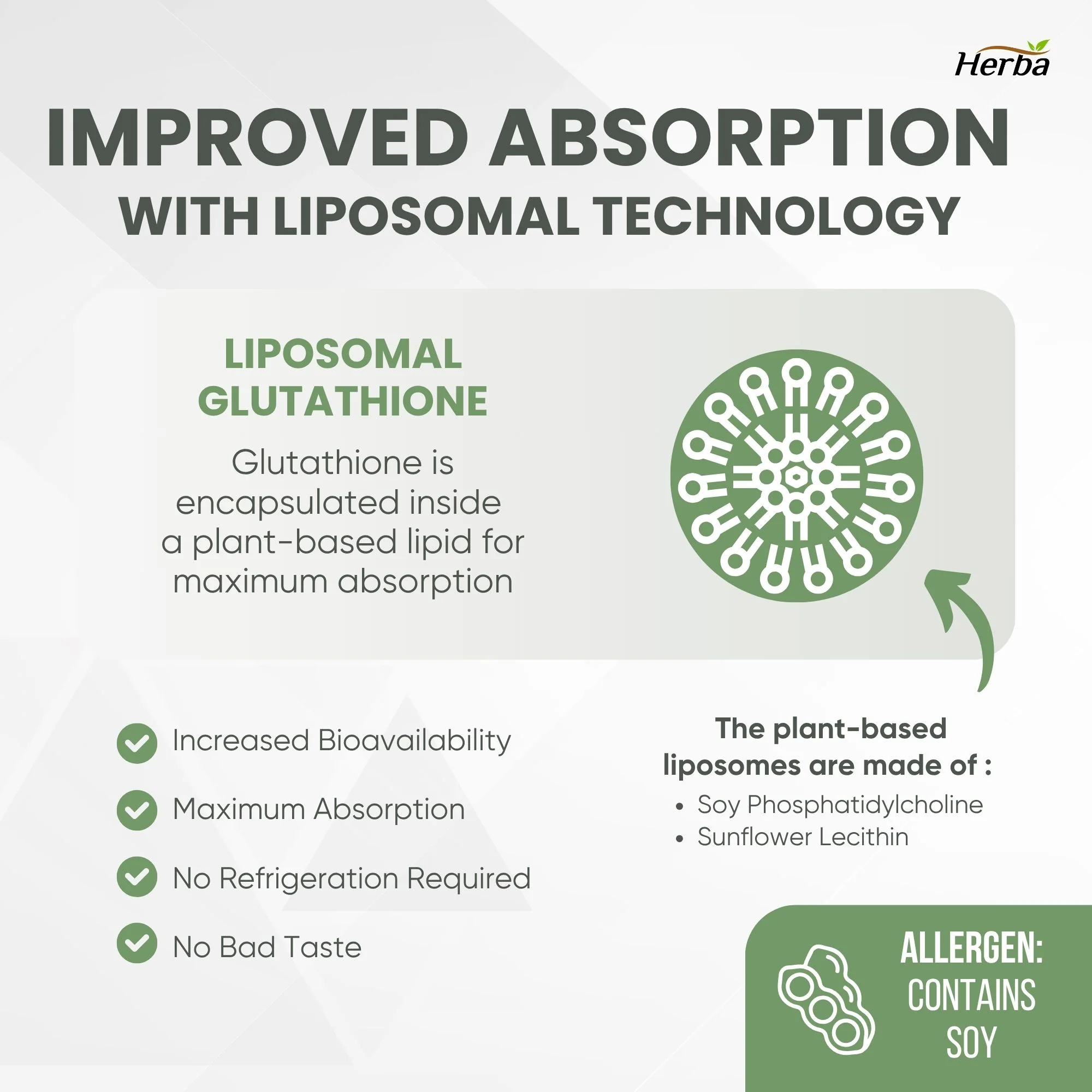 Liposomal Glutathione Supplement - 600mg Per Day | 60 Vegetable Capsules - Image 4
