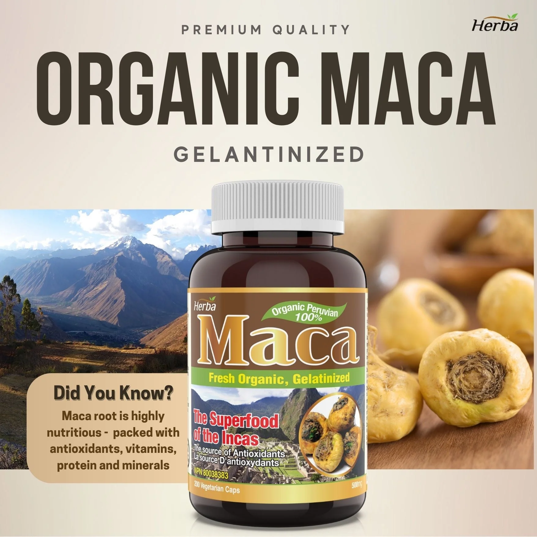 Organic Peruvian Maca Capsules - 500mg, 200 Capsules - Image 3