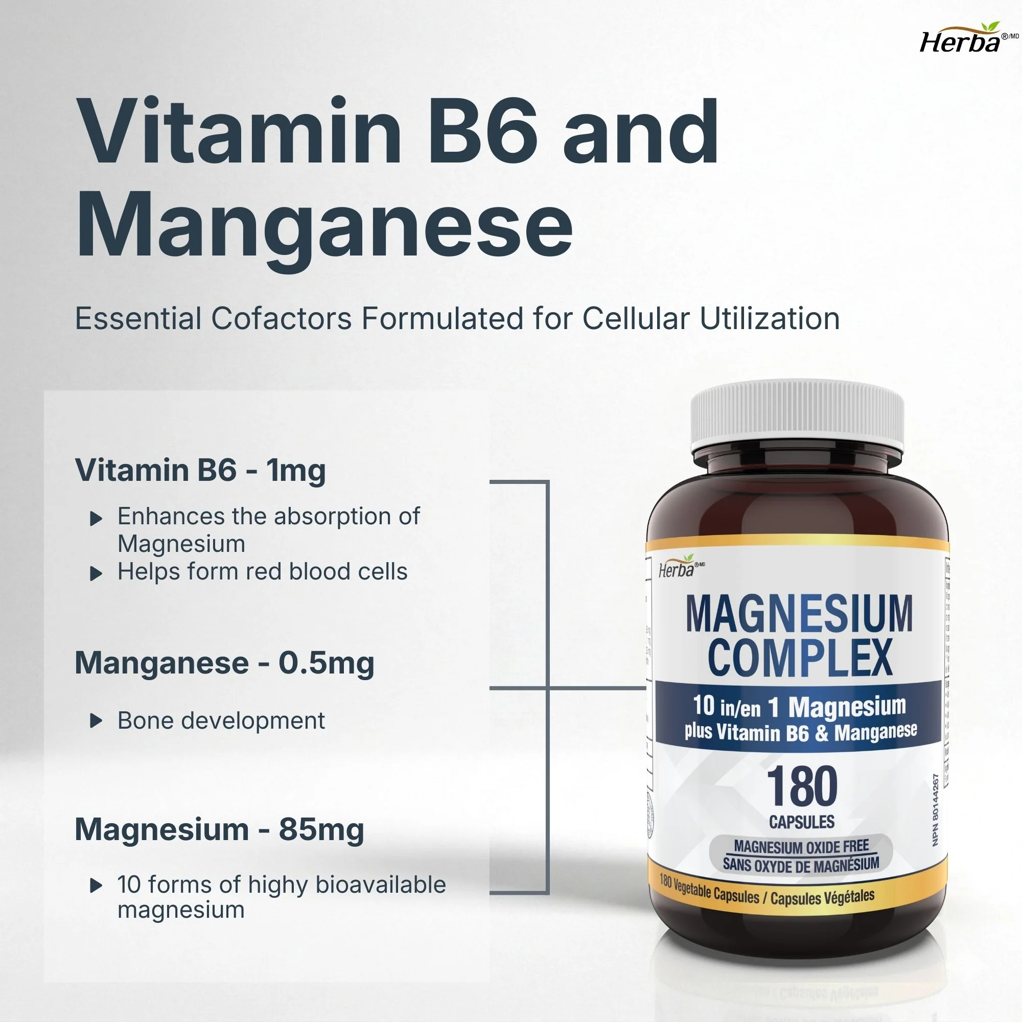 Magnesium Complex 10 in 1 – 180 Capsules | Magnesium Oxide Free | Made in Canada - Image 5