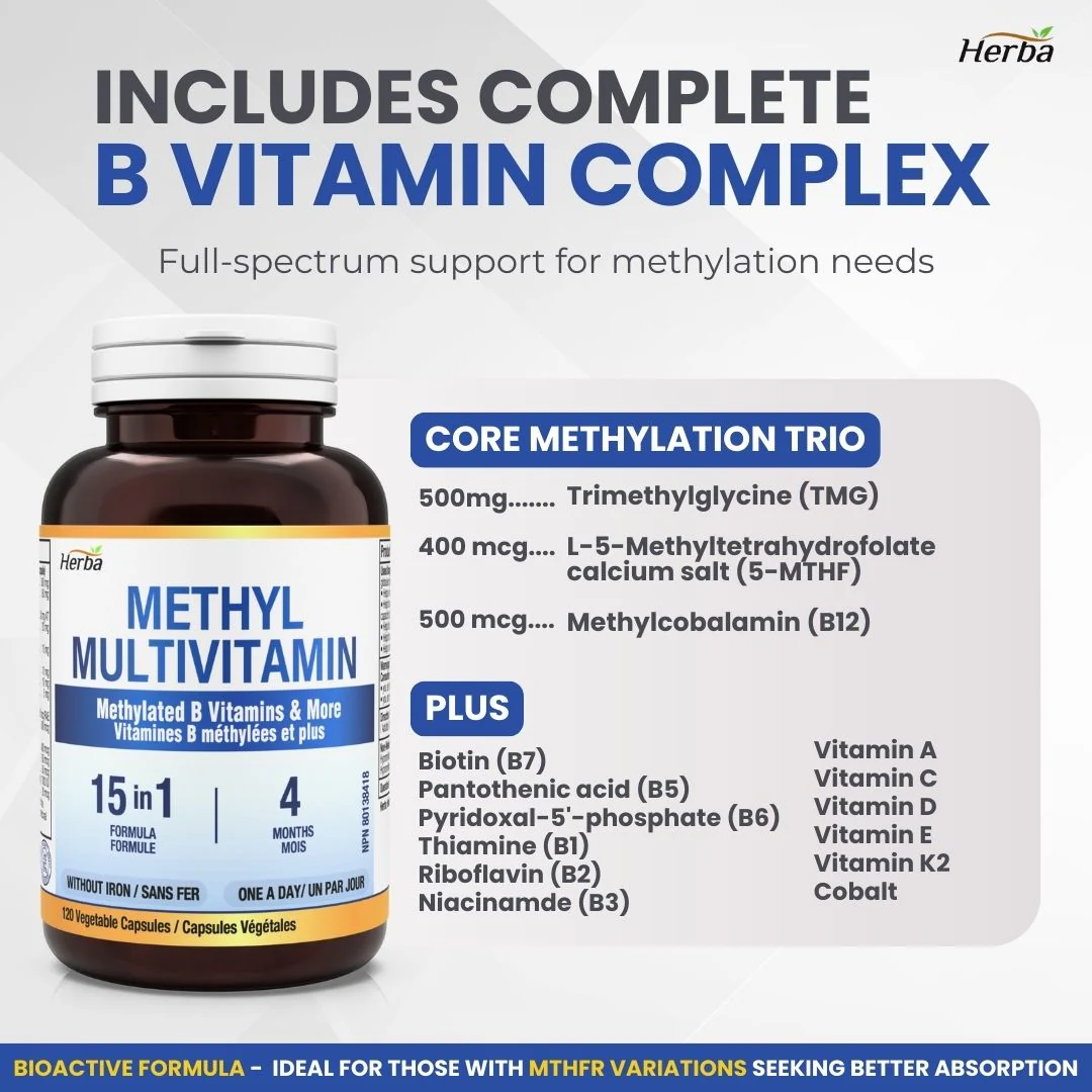 Methylated Multivitamin with TMG & Full Methylated B Complex - 120 Capsules | 15 in 1 Formula | Made in Canada - Image 4