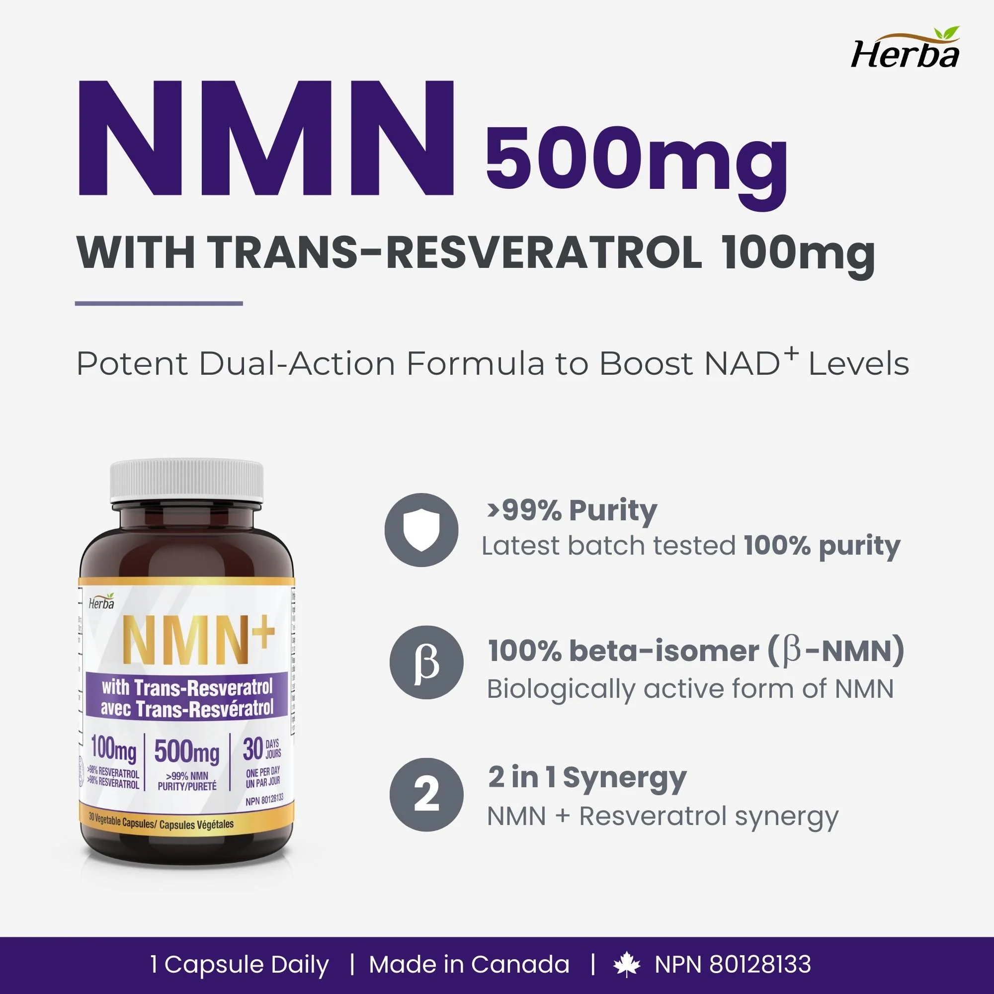 NMN Supplement + Resveratrol - 600mg | Made in Canada | 30 Vegetable Capsules - Image 3