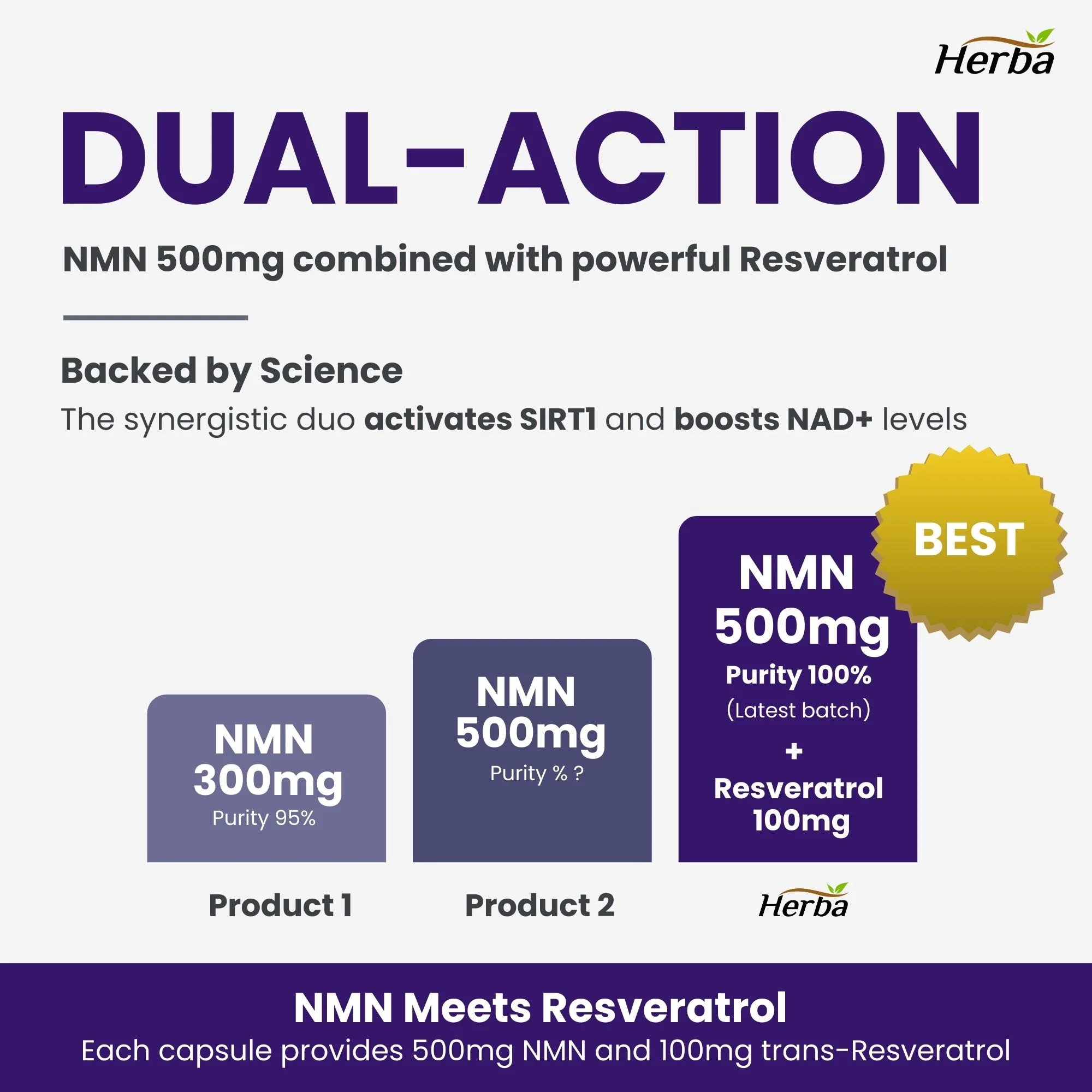 NMN Supplement + Resveratrol - 600mg | Made in Canada | 30 Vegetable Capsules - Image 4