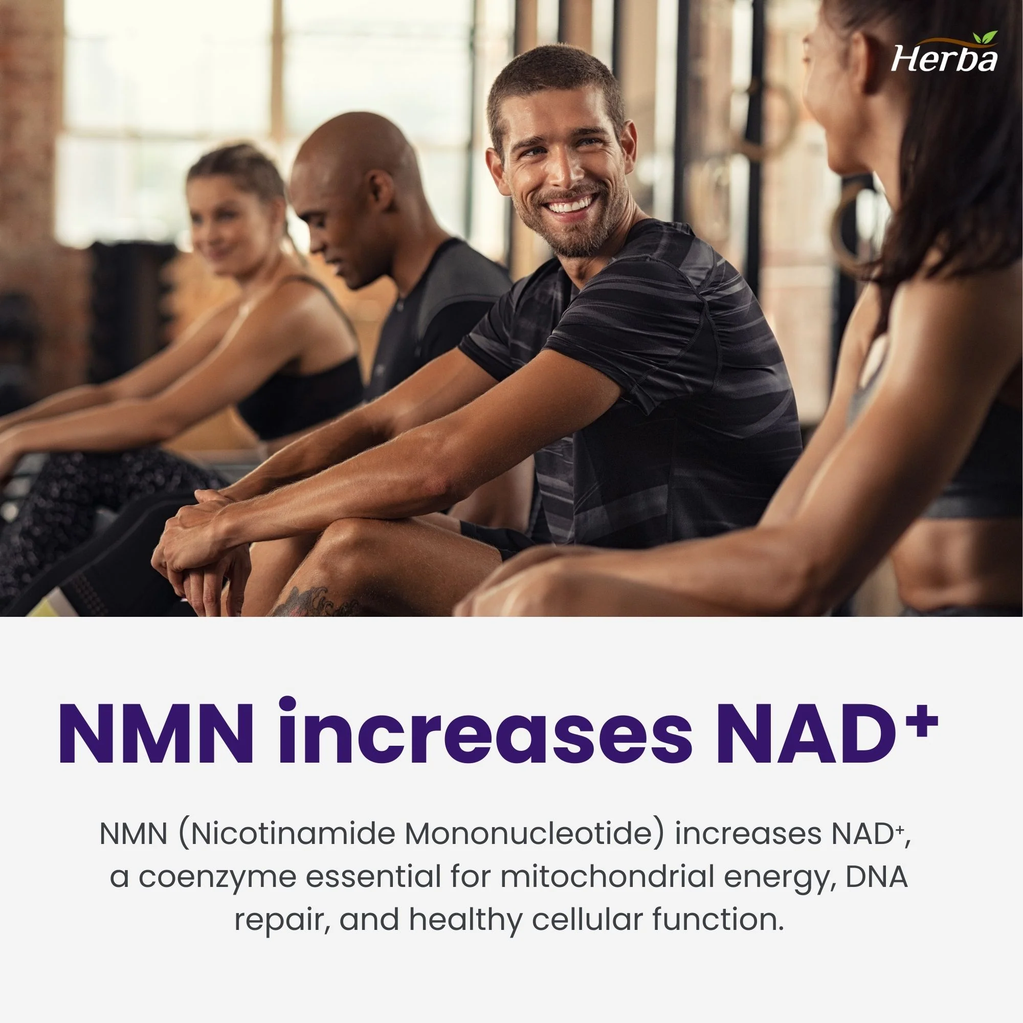 NMN Supplement + Resveratrol - 600mg | Made in Canada | 30 Vegetable Capsules - Image 5