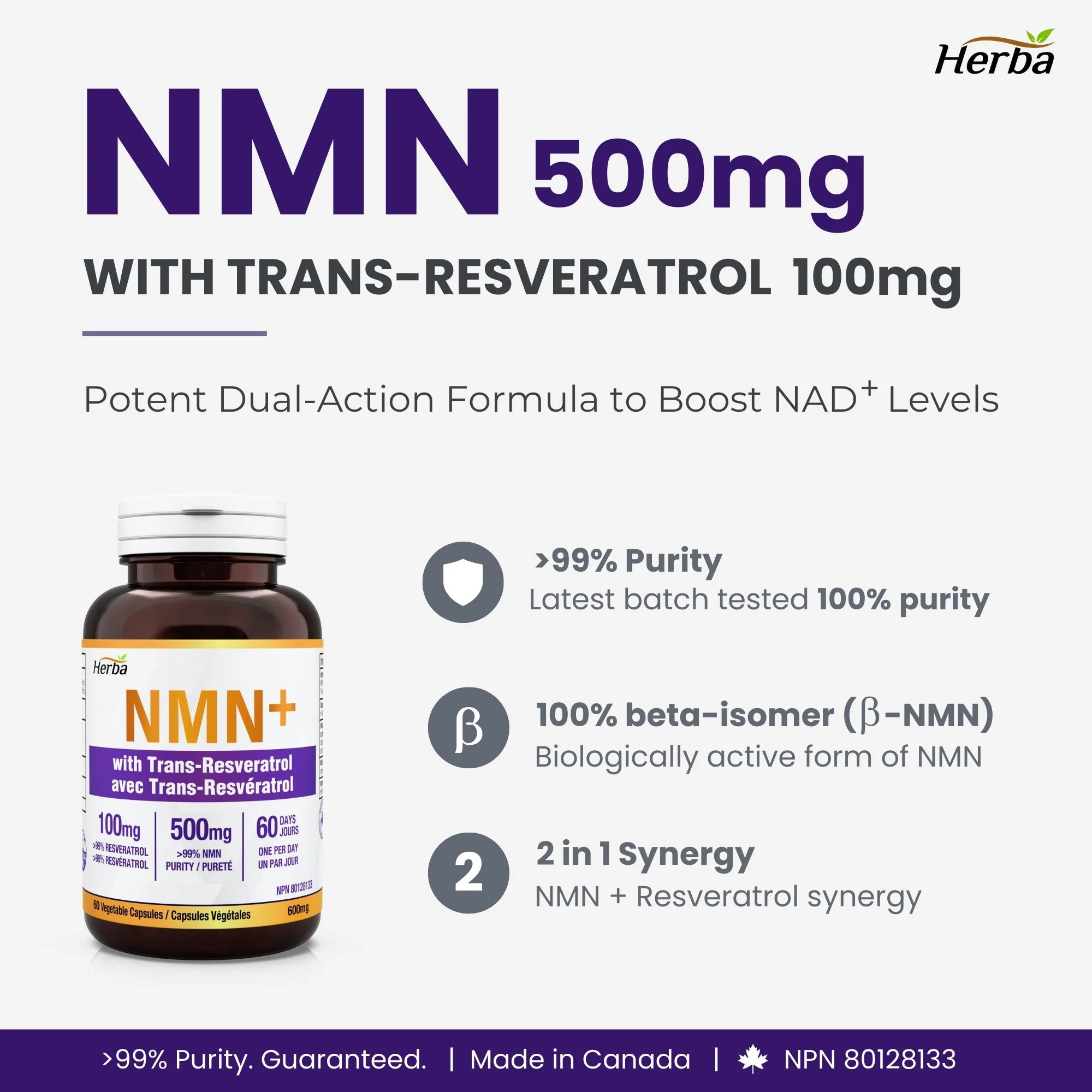 NMN Supplement + Resveratrol - 600mg | Made in Canada | 60 Vegetable Capsules - Image 3