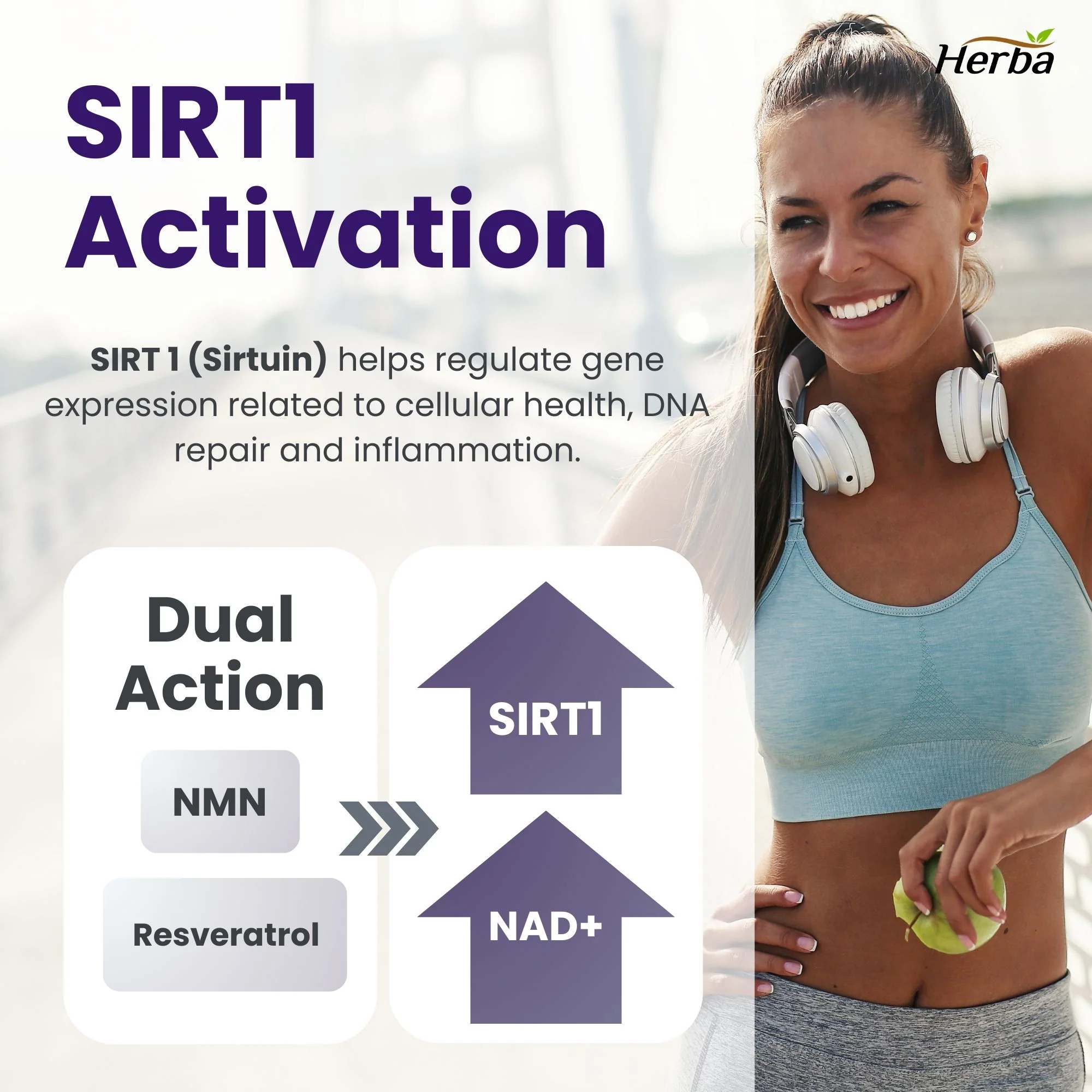 NMN Supplement + Resveratrol - 600mg | Made in Canada | 60 Vegetable Capsules - Image 6