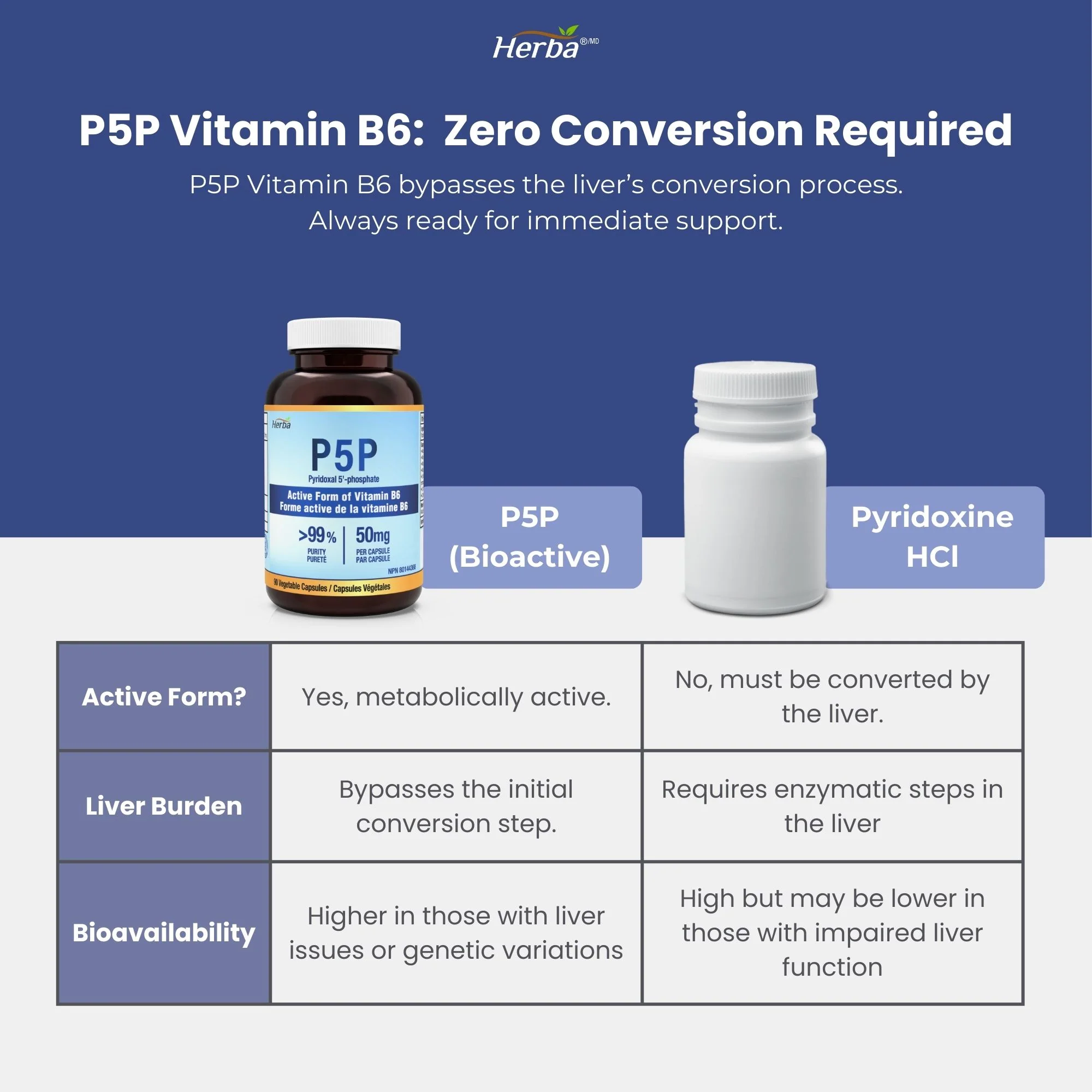 P5P Vitamin B6 50mg – 90 Capsules | >99% Purity | Made in Canada - Image 4