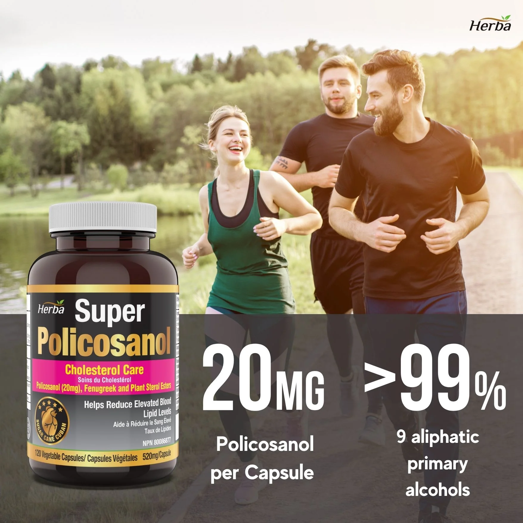 Policosanol 20mg with Fenugreek and Plant Sterol Esters - 120 Vegetable Capsules - Image 7