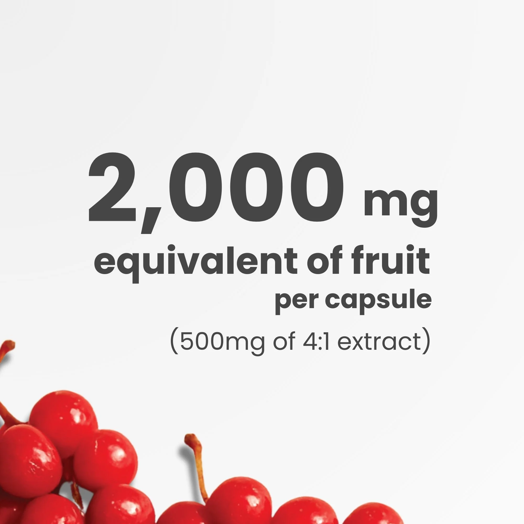 Schisandra Supplement – 90 Capsules | 4:1 Extract – 2,000mg Equivalent Schisandra Berry | Made in Canada - Image 5