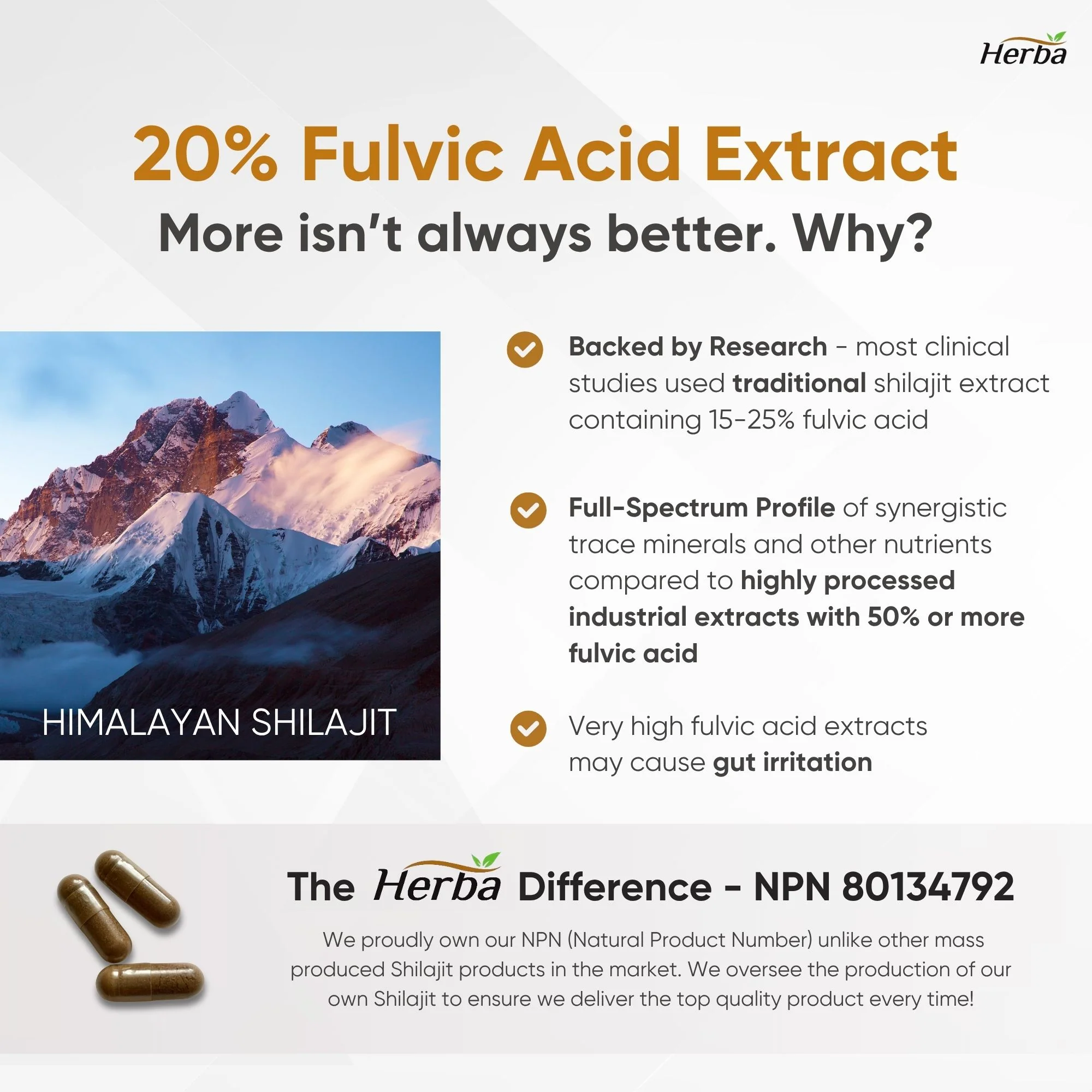 Himalayan Shilajit for Women & Men – 120 Capsules | 1000mg Per Serving (500mg Each) | 15:1 Extract | Fulvic Acid Supplement | Made in Canada - Image 4