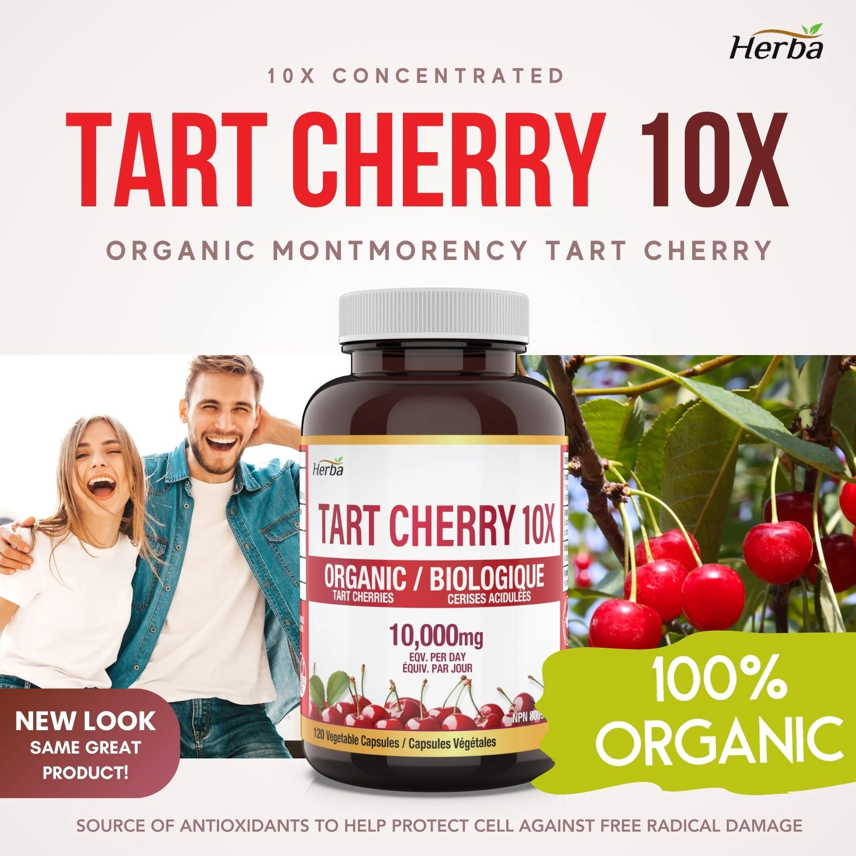 Organic Tart Cherry Extract Capsules – 120 Capsules | 10,000mg Per Day | Made in Canada - Image 3