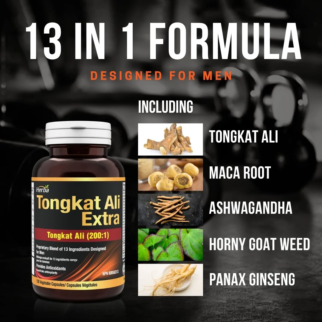 Tongkat Ali Supplement 200:1 - Made in Canada | 120 Capsules | Proprietary Blend including 10,000mg Equivalent of Tongkat Ali Extract - Image 4