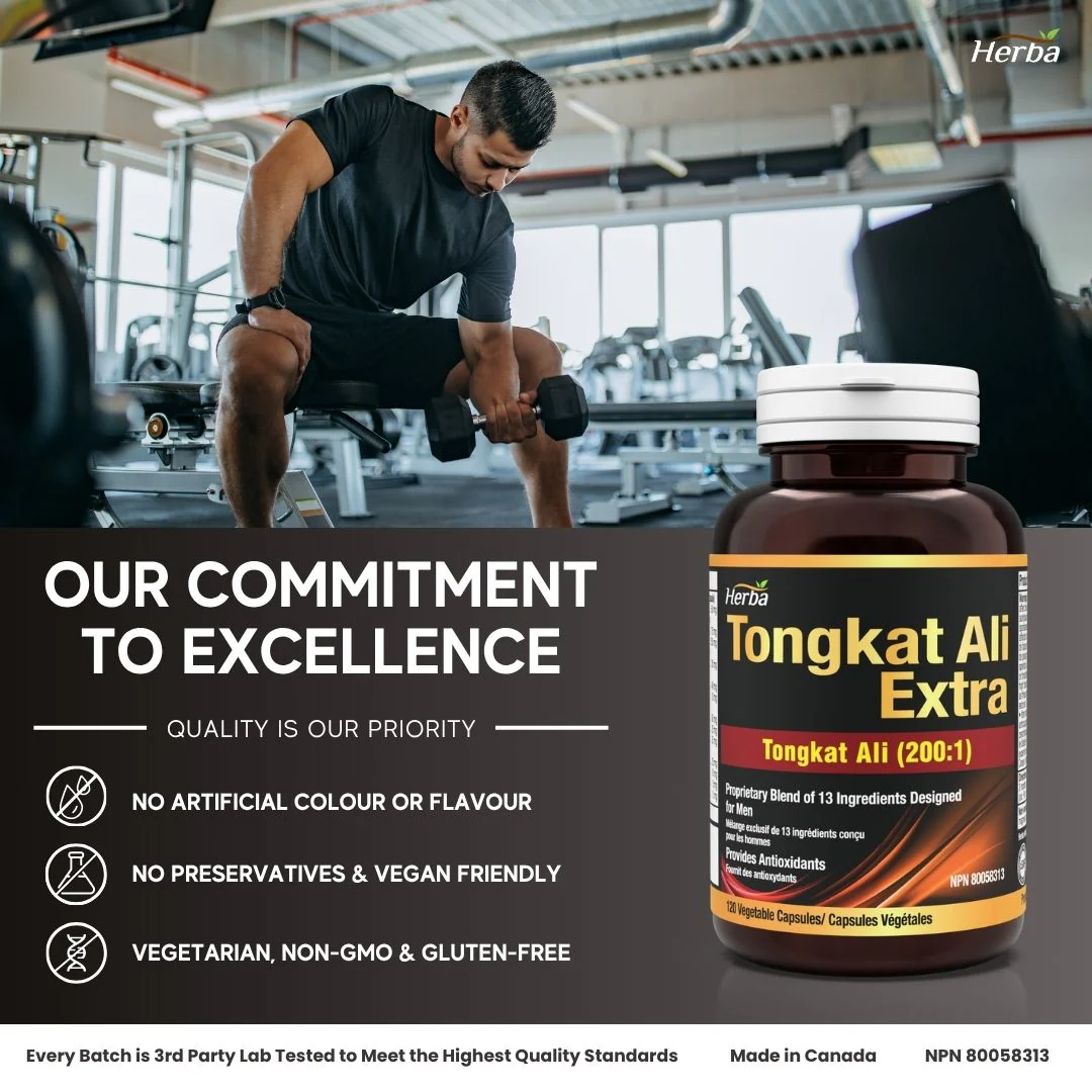 Tongkat Ali Supplement 200:1 - Made in Canada | 120 Capsules | Proprietary Blend including 10,000mg Equivalent of Tongkat Ali Extract - Image 6