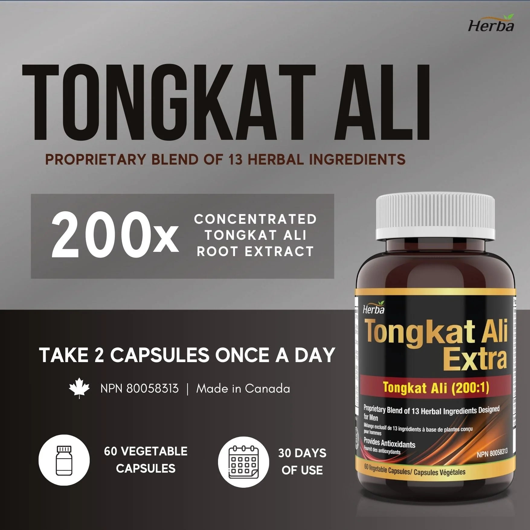 Tongkat Ali Supplement 200:1 - Made in Canada | 60 Capsules | Proprietary Blend including 10,000mg Equivalent of Tongkat Ali Extract - Image 3