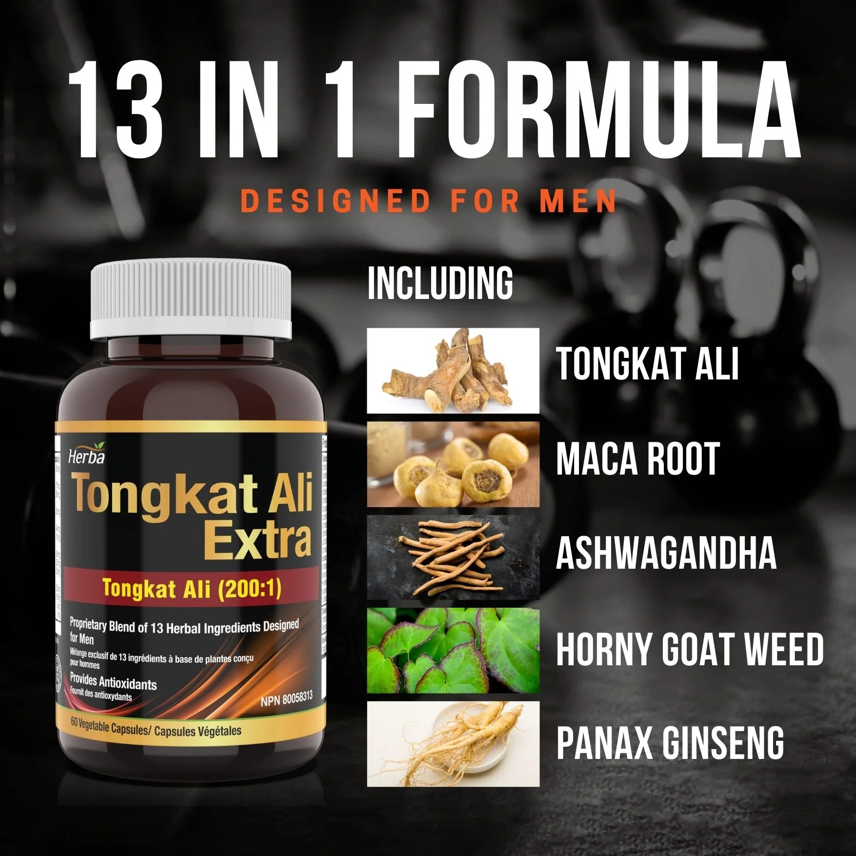 Tongkat Ali Supplement 200:1 - Made in Canada | 60 Capsules | Proprietary Blend including 10,000mg Equivalent of Tongkat Ali Extract - Image 4