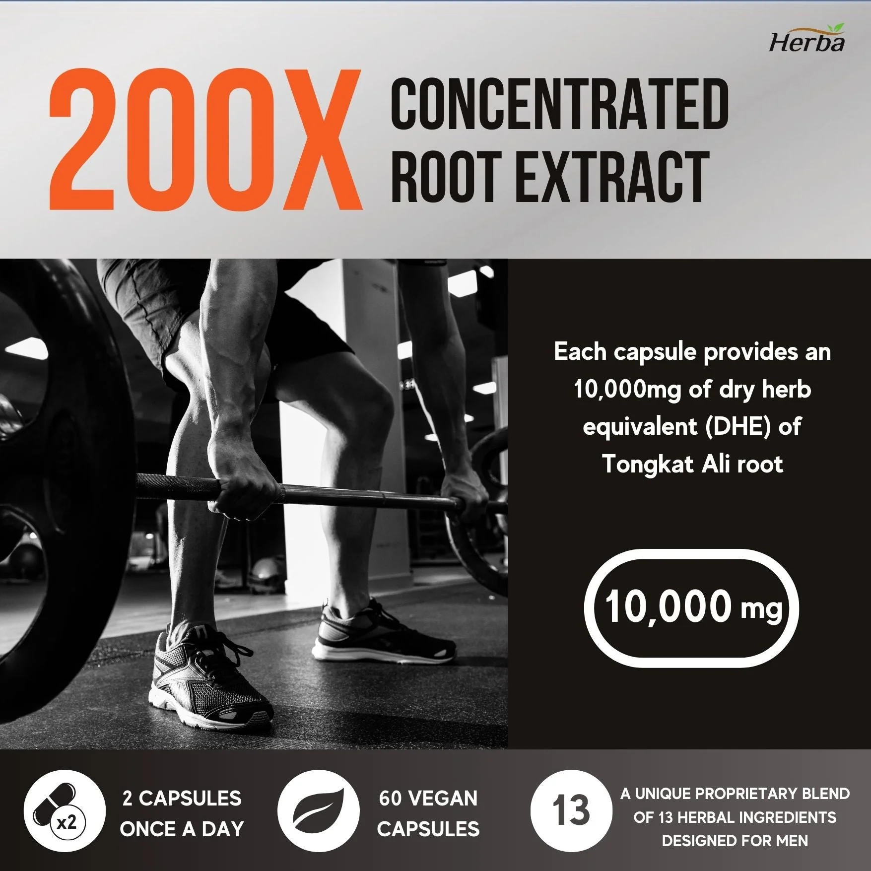 Tongkat Ali Supplement 200:1 - Made in Canada | 60 Capsules | Proprietary Blend including 10,000mg Equivalent of Tongkat Ali Extract - Image 6