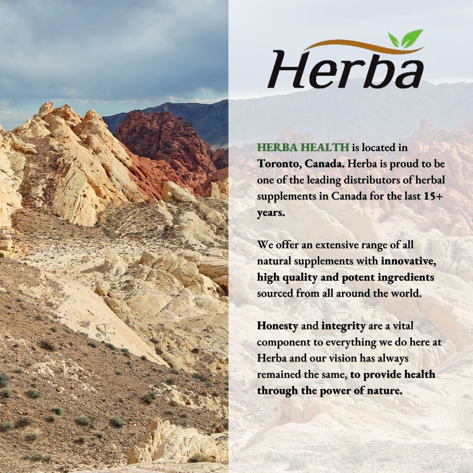 Tongkat Ali Supplement 200:1 - Made in Canada | 60 Capsules | Proprietary Blend including 10,000mg Equivalent of Tongkat Ali Extract - Image 9