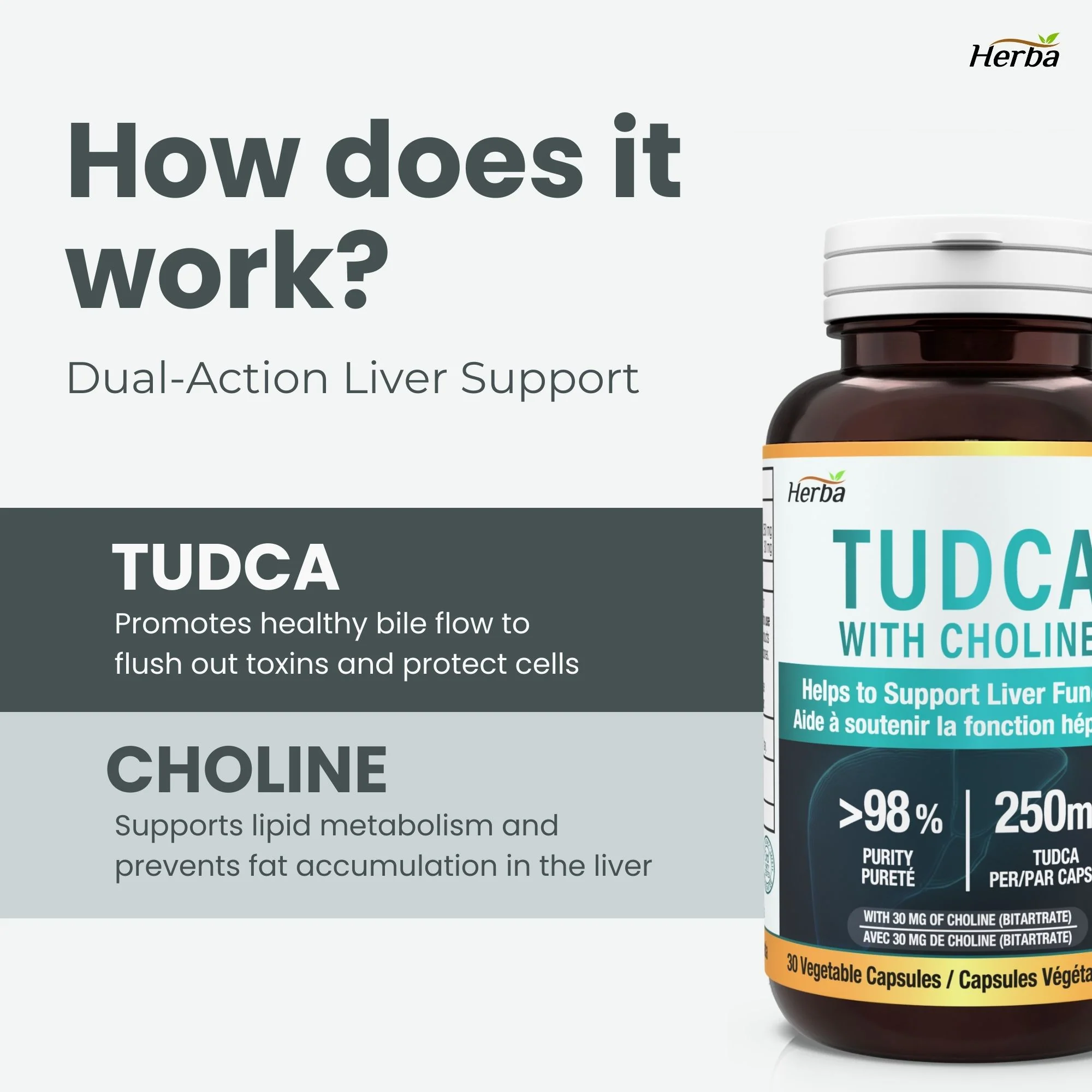 TUDCA Supplement for Liver – 30 Capsules | >98% Purity | Purified Bile Salts Supplements | 250mg TUDCA + Choline | Made in Canada - Image 7
