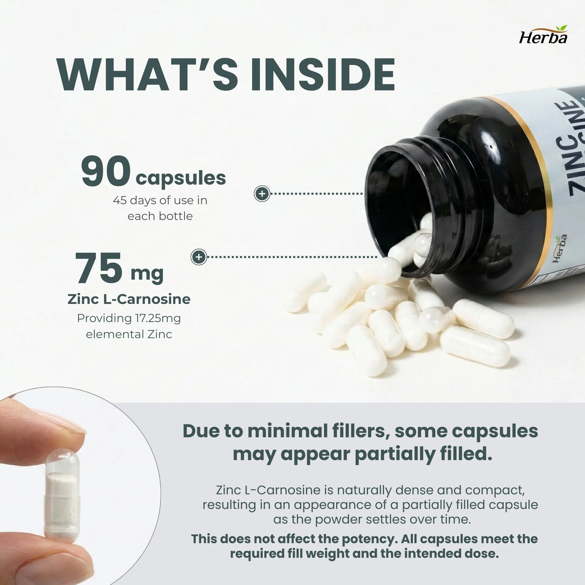 Zinc Carnosine Supplement – 90 Capsules | 150mg Per Serving (75mg Per Capsules) | Made in Canada - Image 7